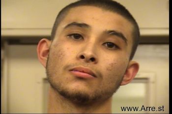 Leonardo Chayanne Fernandez Mugshot